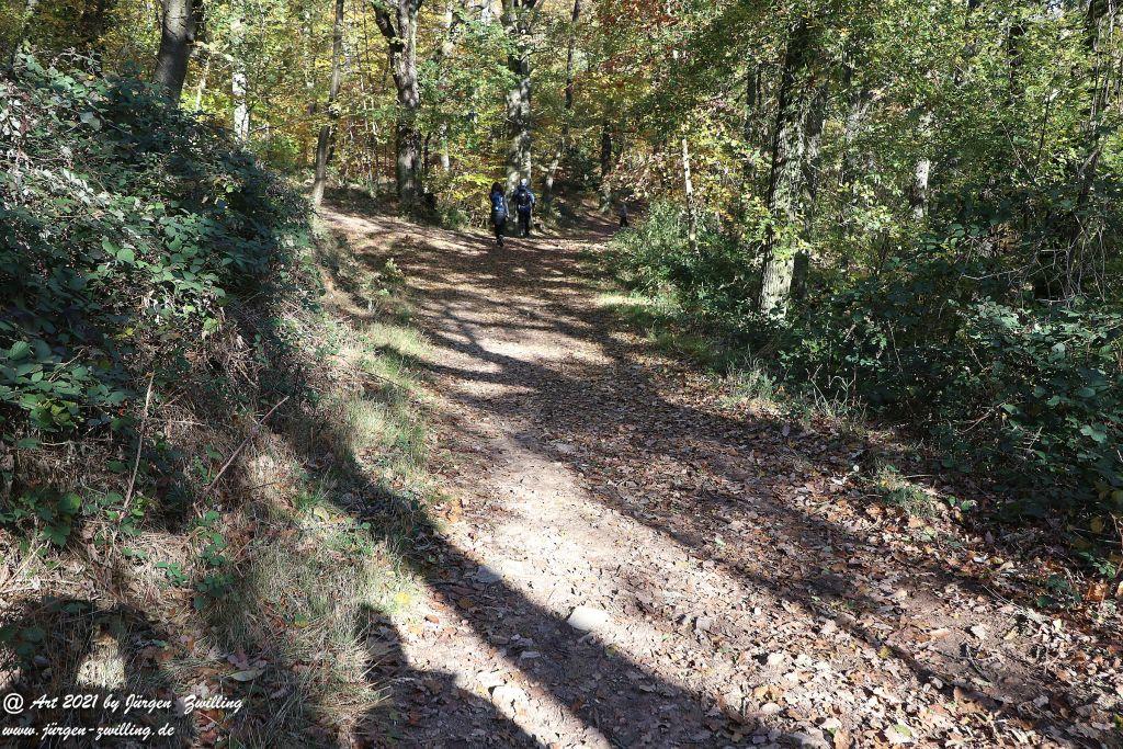 Philosophische Bildwanderung Hackenheim - Rheingrafenstein - Hackenheim - Rheinhessen - Nahe