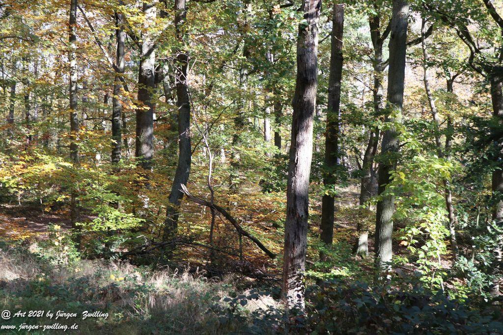 Philosophische Bildwanderung Hackenheim - Rheingrafenstein - Hackenheim - Rheinhessen - Nahe