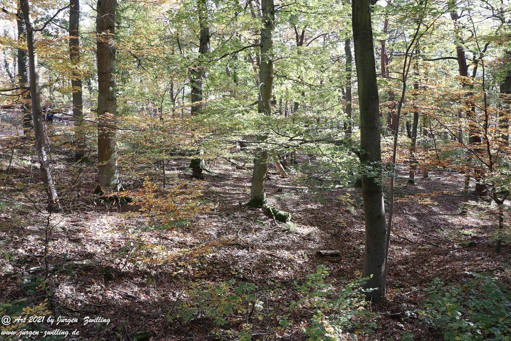 Philosophische Bildwanderung Hackenheim - Rheingrafenstein - Hackenheim - Rheinhessen - Nahe