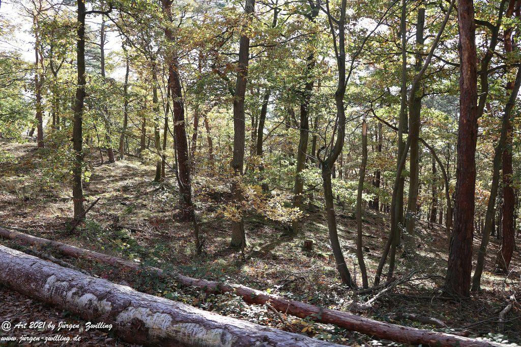 Philosophische Bildwanderung Hackenheim - Rheingrafenstein - Hackenheim - Rheinhessen - Nahe