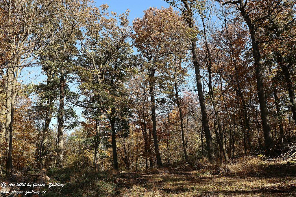 Philosophische Bildwanderung Hackenheim - Rheingrafenstein - Hackenheim - Rheinhessen - Nahe