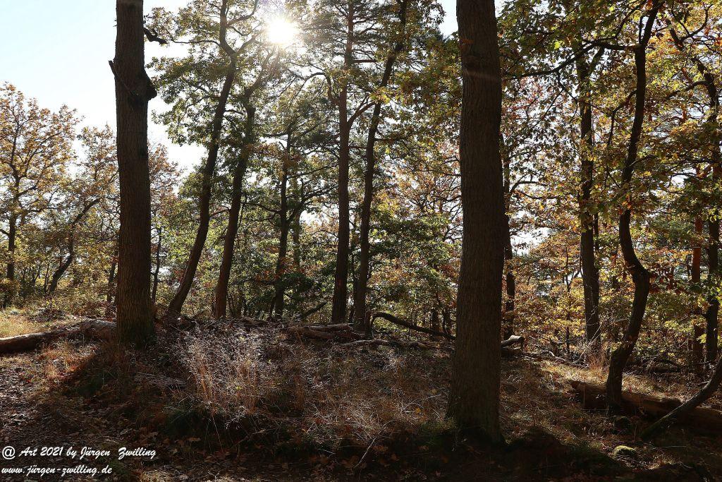 Philosophische Bildwanderung Hackenheim - Rheingrafenstein - Hackenheim - Rheinhessen - Nahe