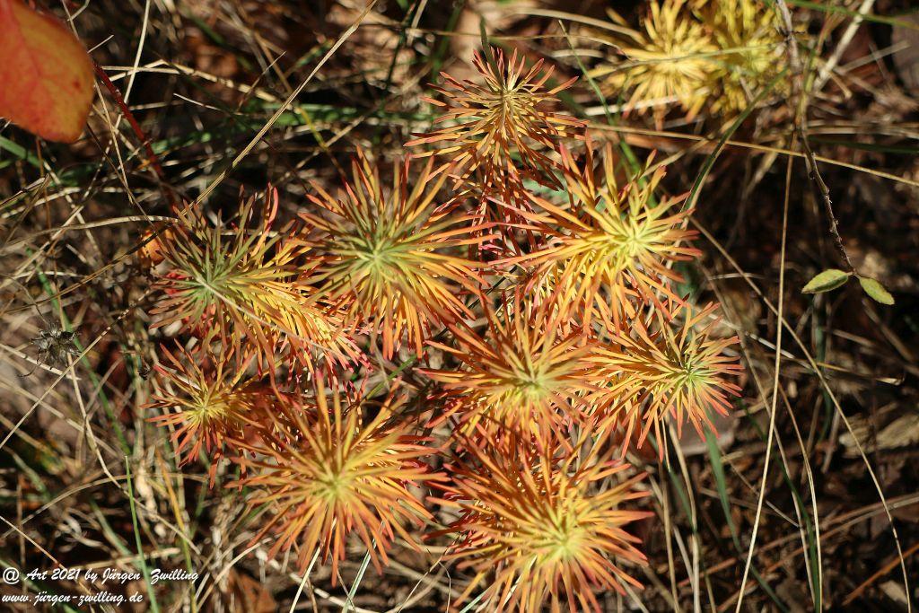 Philosophische Bildwanderung Hackenheim - Rheingrafenstein - Hackenheim - Rheinhessen - Nahe