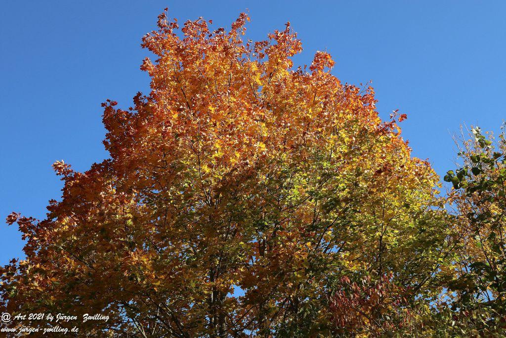 Philosophische Bildwanderung Hackenheim - Rheingrafenstein - Hackenheim - Rheinhessen - Nahe