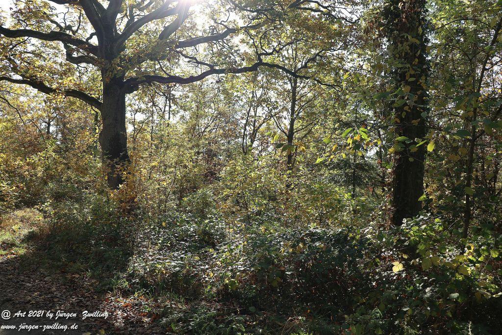 Philosophische Bildwanderung Hackenheim  - Rheingrafenstein - Hackenheim - Rheinhessen - Nahe