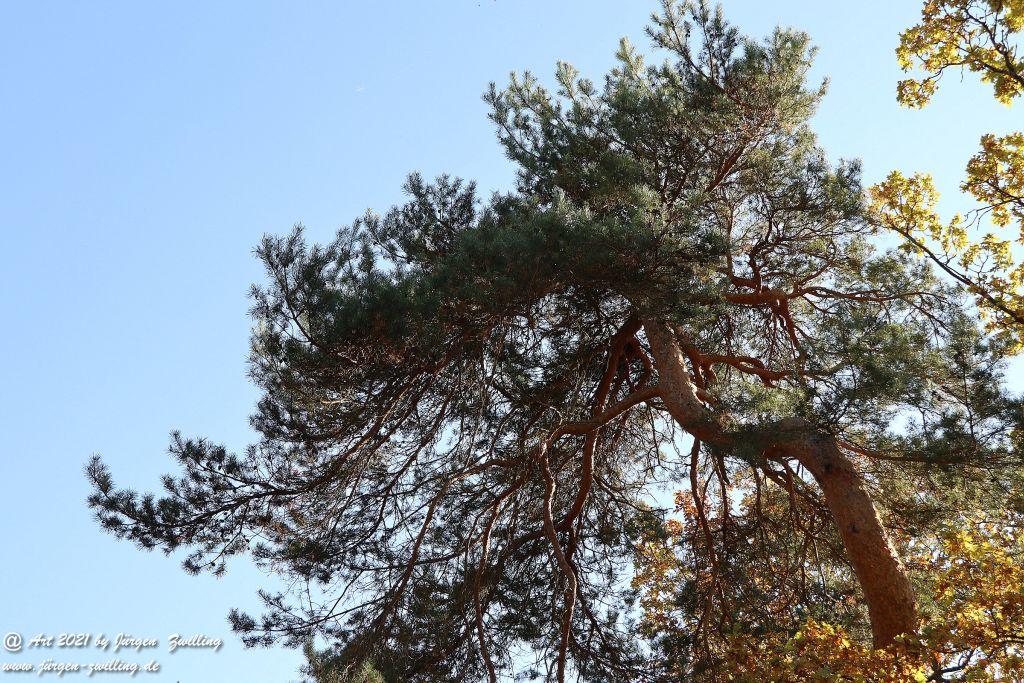 Philosophische Bildwanderung Hackenheim - Rheingrafenstein - Hackenheim - Rheinhessen - Nahe