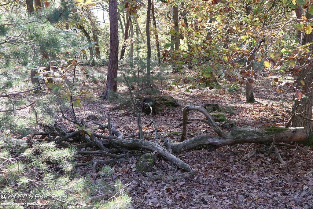 Philosophische Bildwanderung Hackenheim - Rheingrafenstein - Hackenheim - Rheinhessen - Nahe