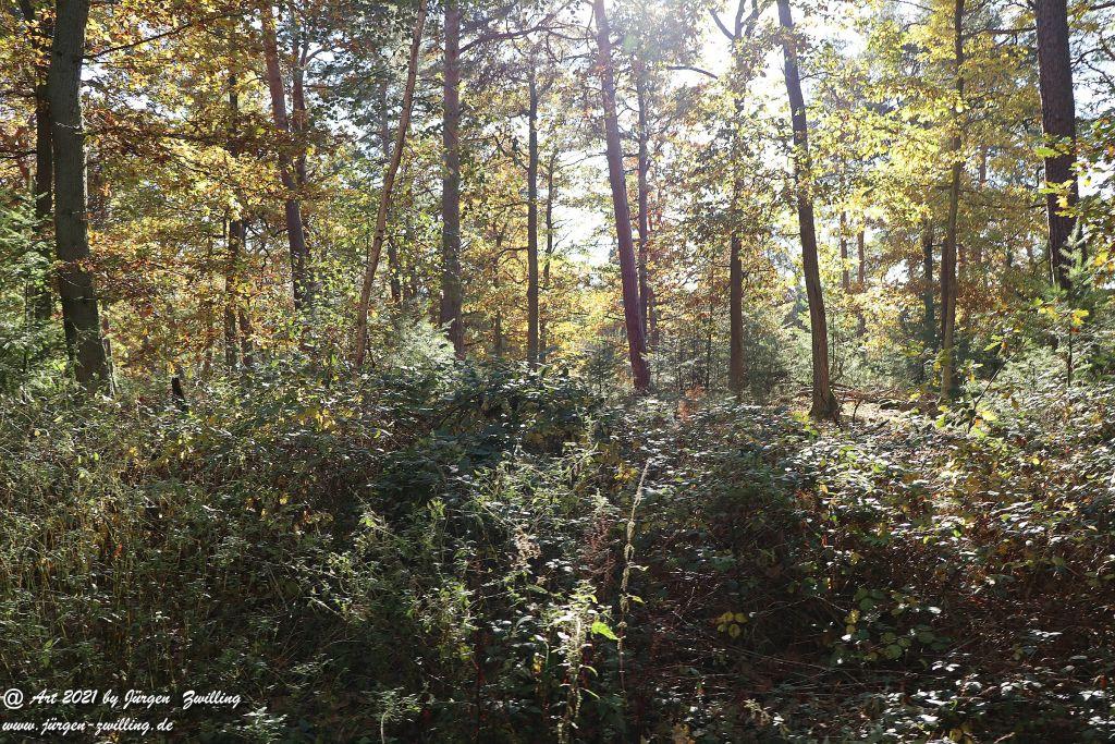 Philosophische Bildwanderung Hackenheim - Rheingrafenstein - Hackenheim - Rheinhessen - Nahe