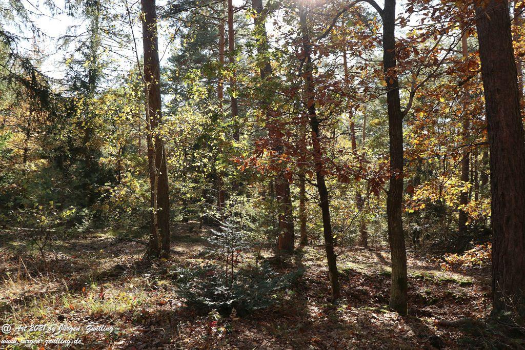 Philosophische Bildwanderung Hackenheim - Rheingrafenstein - Hackenheim - Rheinhessen - Nahe