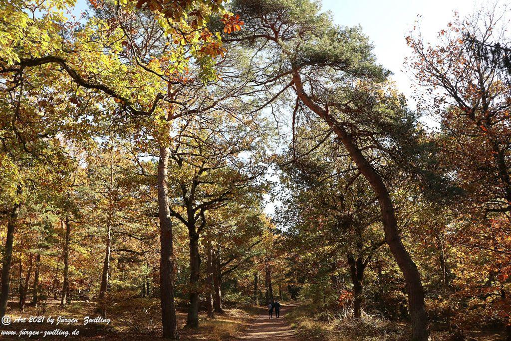 Philosophische Bildwanderung Hackenheim - Rheingrafenstein - Hackenheim - Rheinhessen - Nahe