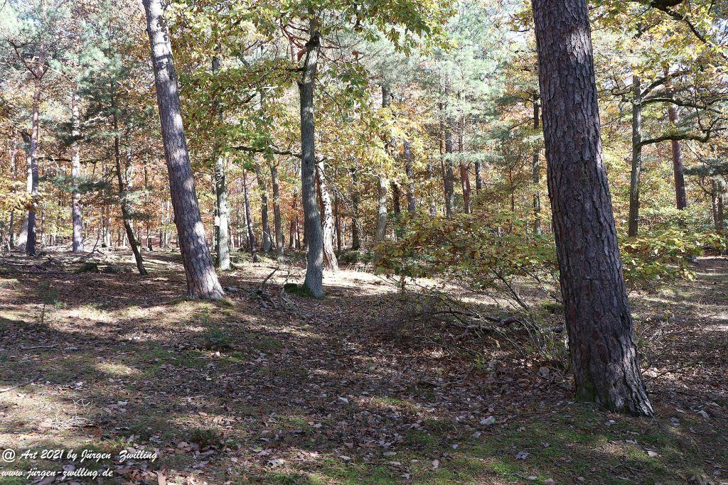 Philosophische Bildwanderung Hackenheim  - Rheingrafenstein - Hackenheim - Rheinhessen - Nahe