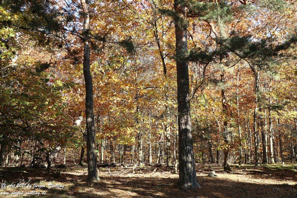 Philosophische Bildwanderung Hackenheim - Rheingrafenstein - Hackenheim - Rheinhessen - Nahe