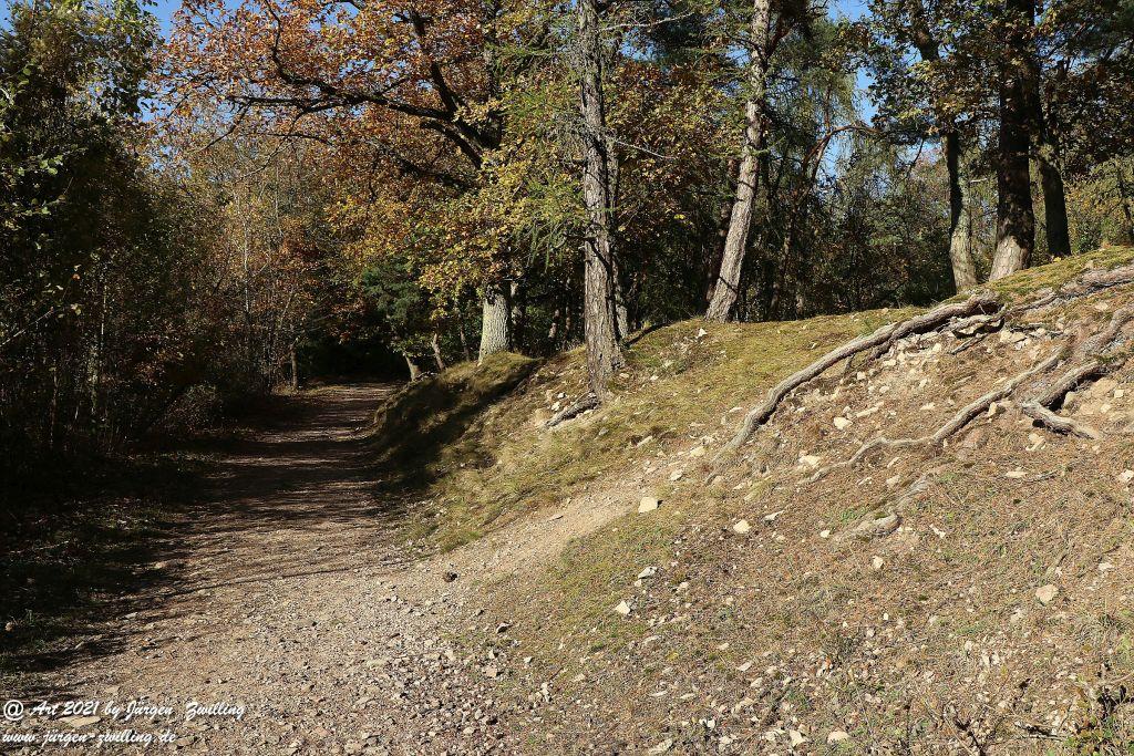 Philosophische Bildwanderung Hackenheim - Rheingrafenstein - Hackenheim - Rheinhessen - Nahe