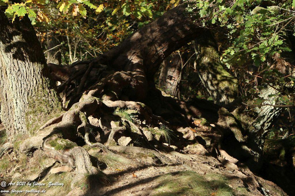 Philosophische Bildwanderung Hackenheim - Rheingrafenstein - Hackenheim - Rheinhessen - Nahe