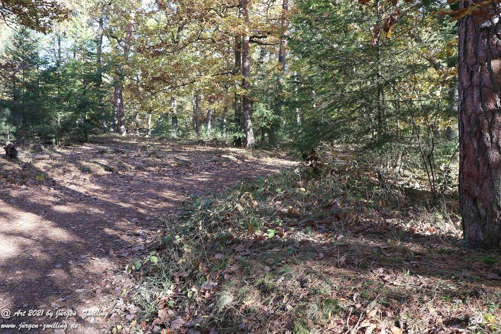 Philosophische Bildwanderung Hackenheim - Rheingrafenstein - Hackenheim - Rheinhessen - Nahe