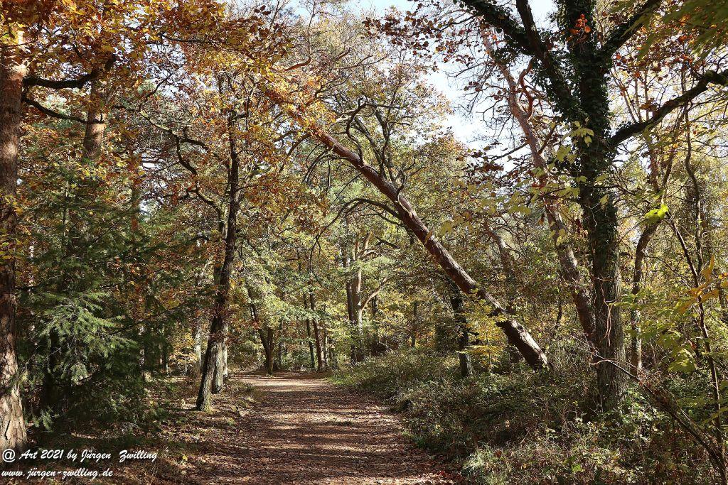 Philosophische Bildwanderung Hackenheim - Rheingrafenstein - Hackenheim - Rheinhessen - Nahe