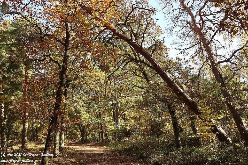 Philosophische Bildwanderung Hackenheim - Rheingrafenstein - Hackenheim - Rheinhessen - Nahe