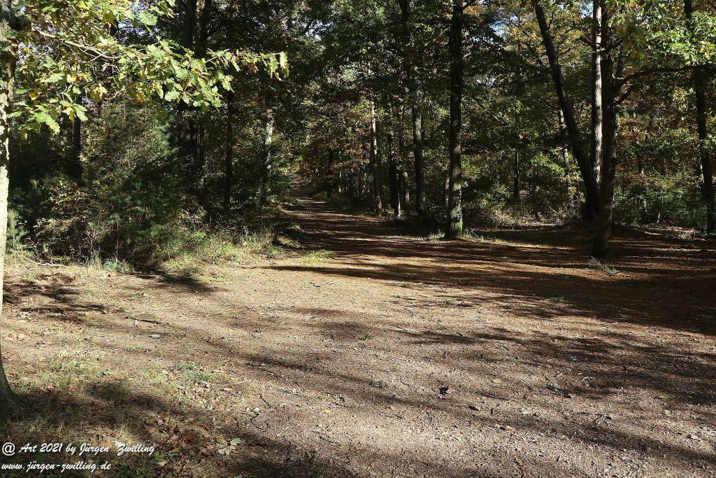 Philosophische Bildwanderung Hackenheim - Rheingrafenstein - Hackenheim - Rheinhessen - Nahe