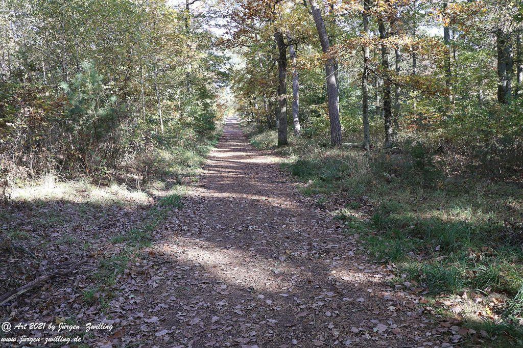 Philosophische Bildwanderung Hackenheim - Rheingrafenstein - Hackenheim - Rheinhessen - Nahe