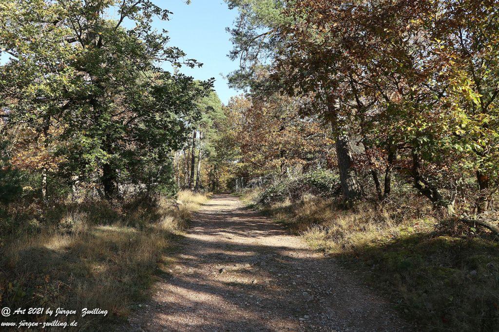 Philosophische Bildwanderung Hackenheim - Rheingrafenstein - Hackenheim - Rheinhessen - Nahe