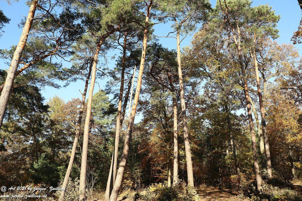 Philosophische Bildwanderung Hackenheim - Rheingrafenstein - Hackenheim - Rheinhessen - Nahe