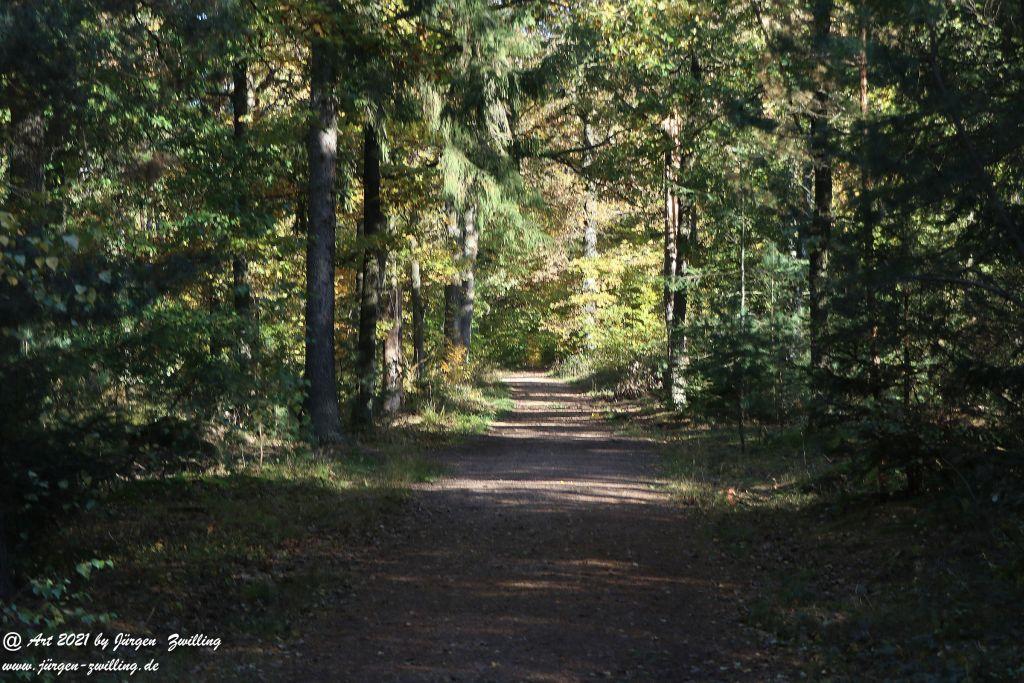 Philosophische Bildwanderung Hackenheim  - Rheingrafenstein - Hackenheim - Rheinhessen - Nahe