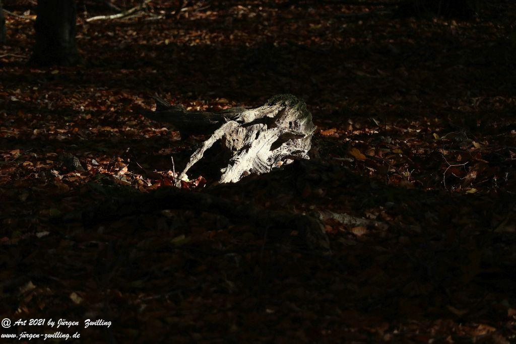 Philosophische Bildwanderung Hackenheim - Rheingrafenstein - Hackenheim - Rheinhessen - Nahe