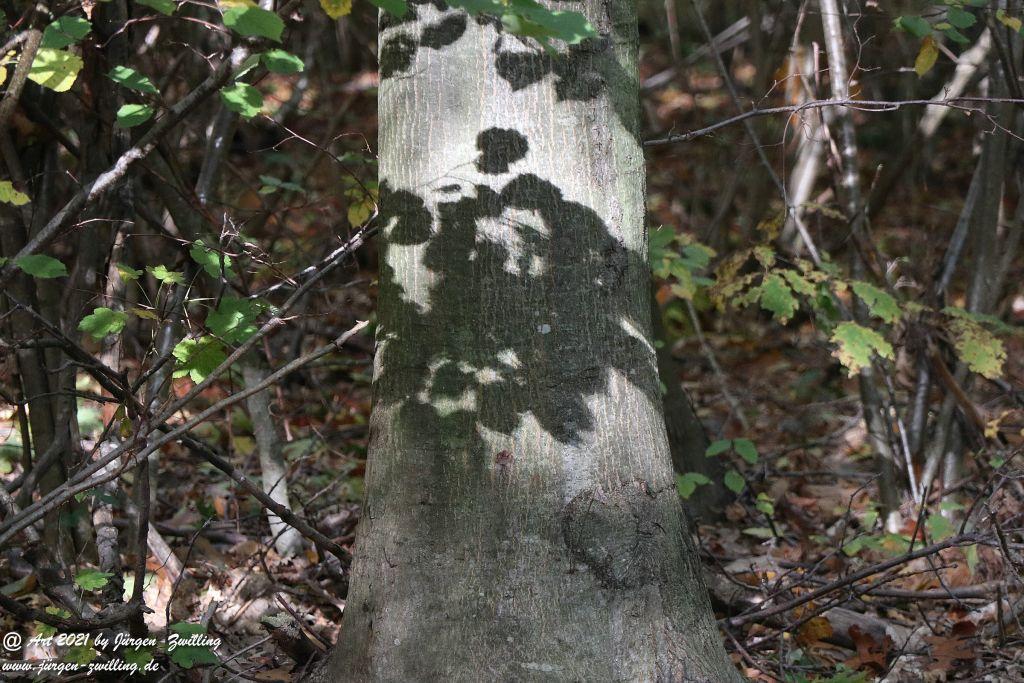 Philosophische Bildwanderung Hackenheim - Rheingrafenstein - Hackenheim - Rheinhessen - Nahe