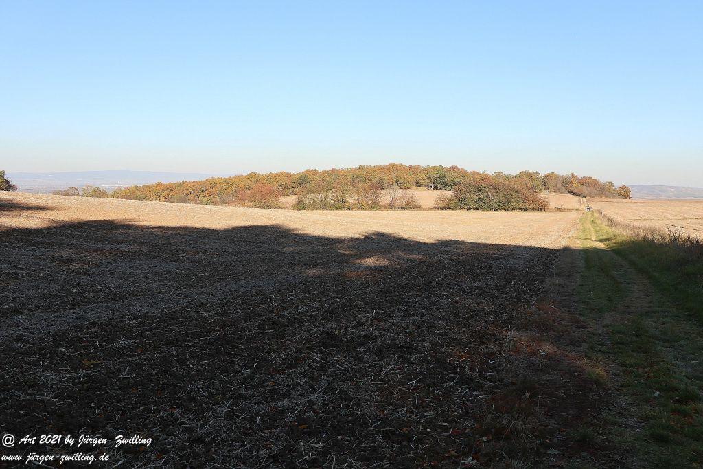 Philosophische Bildwanderung Hackenheim - Rheingrafenstein - Hackenheim - Rheinhessen - Nahe