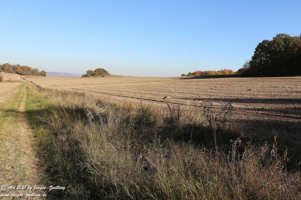 Philosophische Bildwanderung Hackenheim - Rheingrafenstein - Hackenheim - Rheinhessen - Nahe