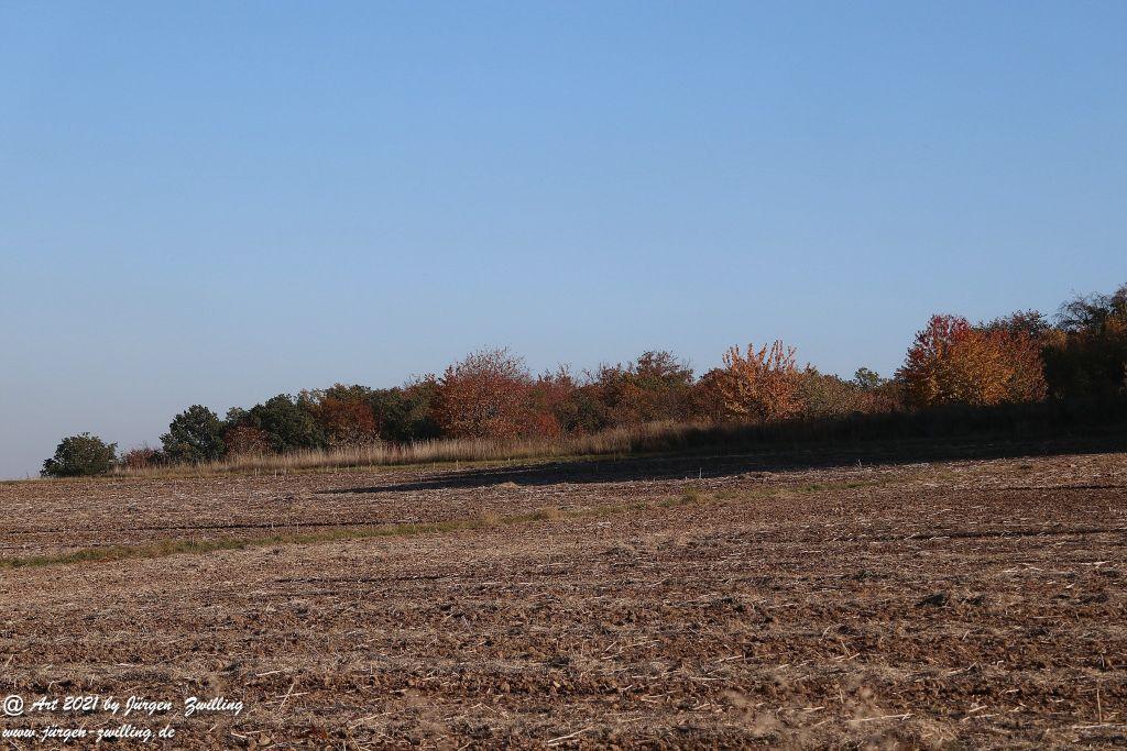 Philosophische Bildwanderung Hackenheim - Rheingrafenstein - Hackenheim - Rheinhessen - Nahe