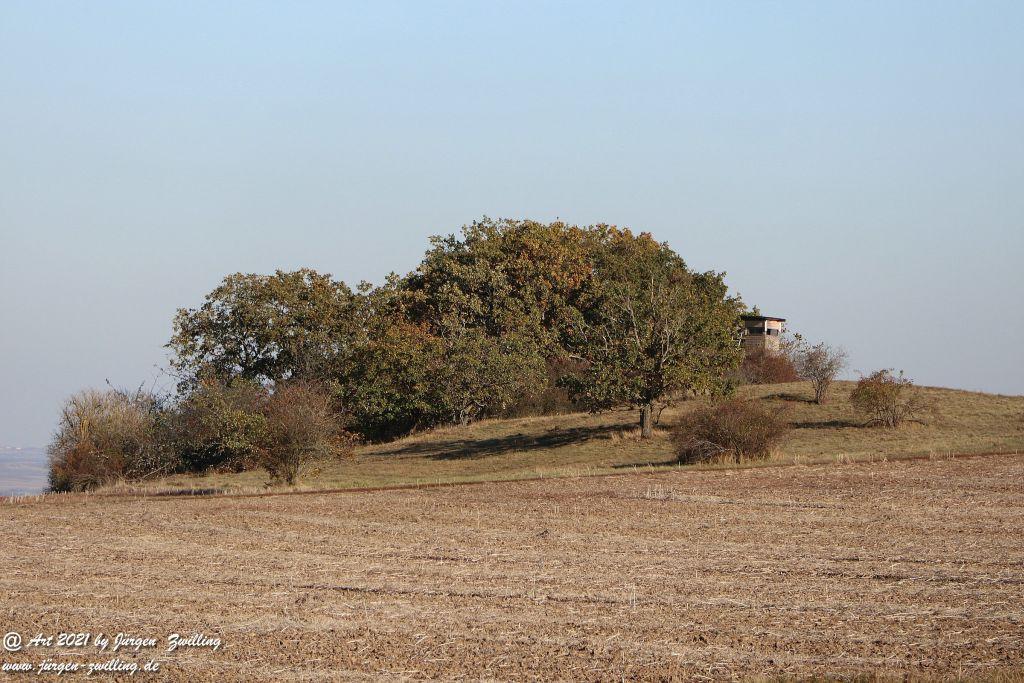 Philosophische Bildwanderung Hackenheim - Rheingrafenstein - Hackenheim - Rheinhessen - Nahe