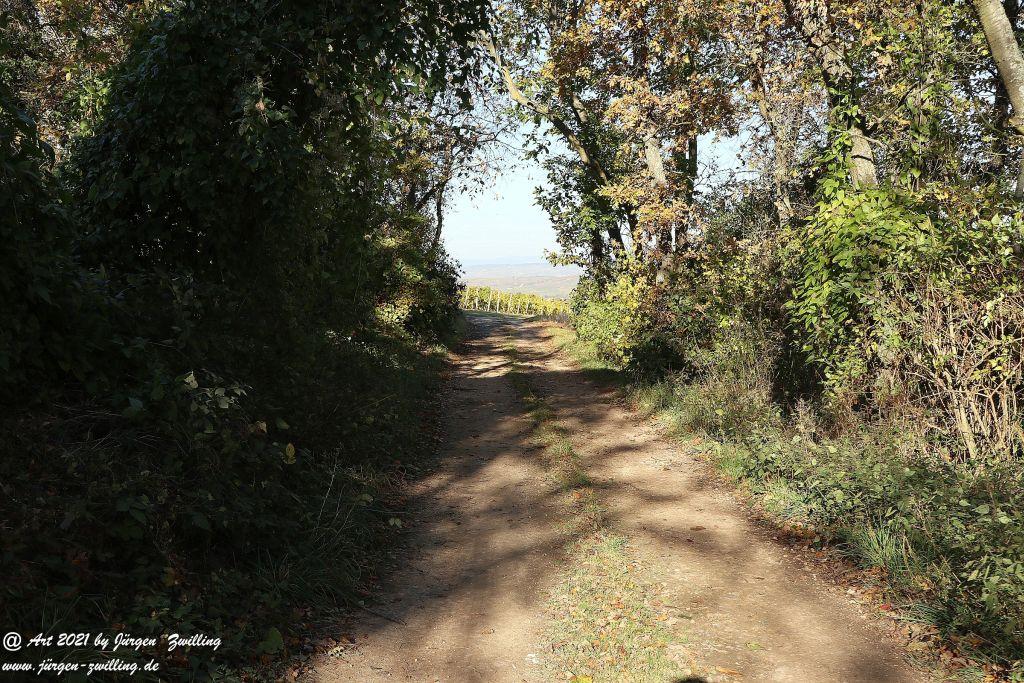 Philosophische Bildwanderung Hackenheim - Rheingrafenstein - Hackenheim - Rheinhessen - Nahe