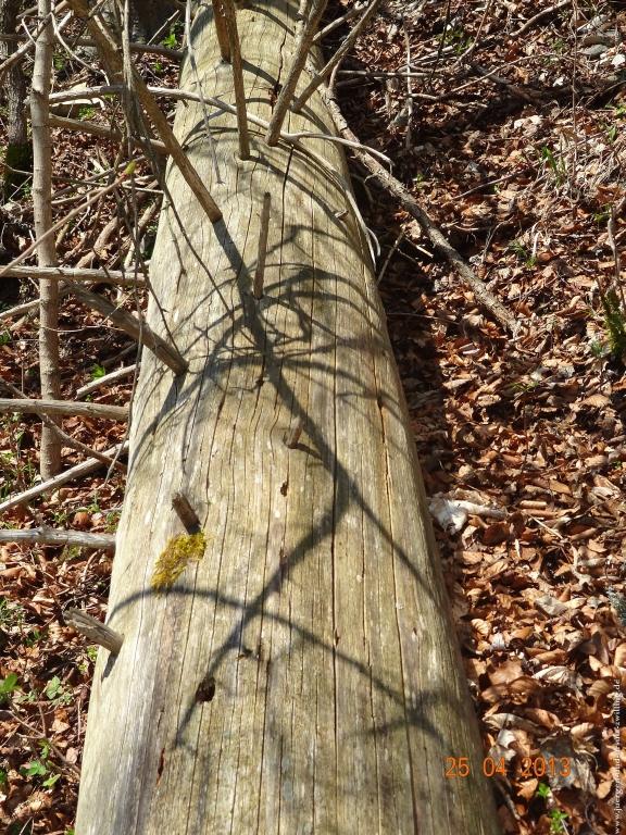 Philosophische Bildwanderung Traufgang-Felsenmeersteig