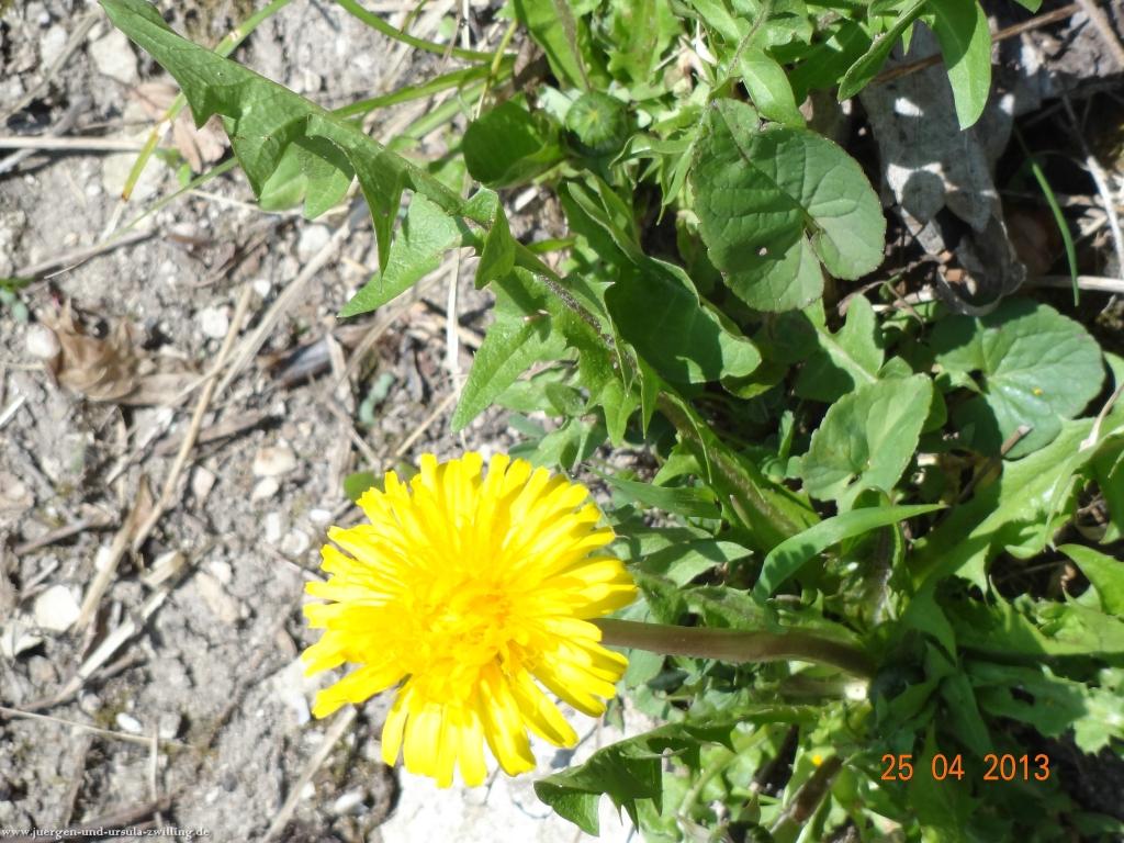 Philosophische Bildwanderung Traufgang-Felsenmeersteig