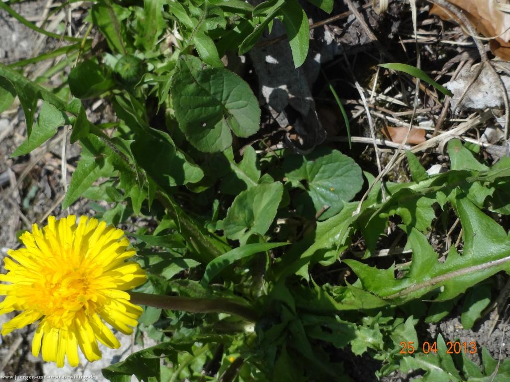 Philosophische Bildwanderung Traufgang-Felsenmeersteig