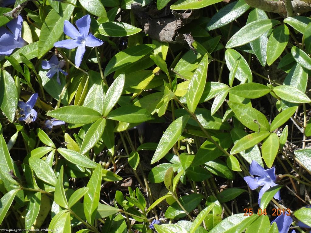 Philosophische Bildwanderung Traufgang-Felsenmeersteig