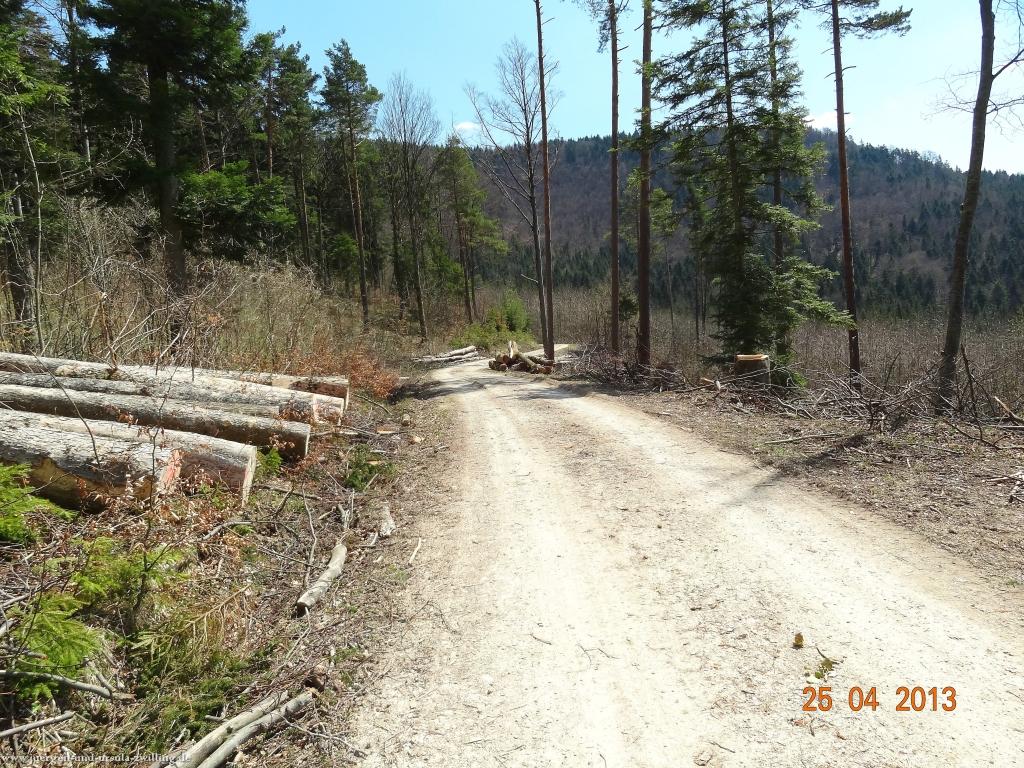 Philosophische Bildwanderung Traufgang-Felsenmeersteig