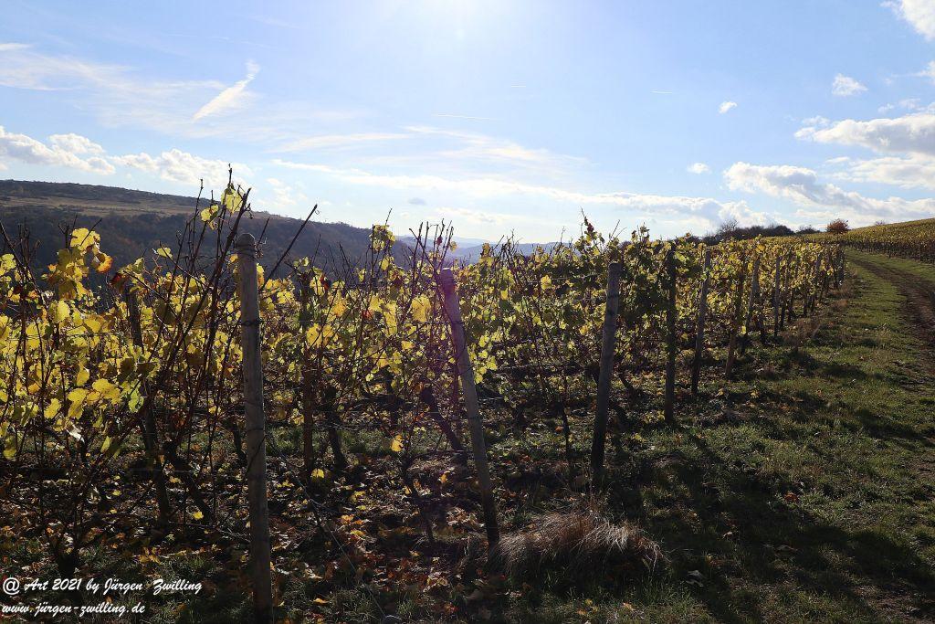 Philosophische Bildwanderung Waldböckelheim Rundweg Naheblick  - Soonwald - Hunsrück