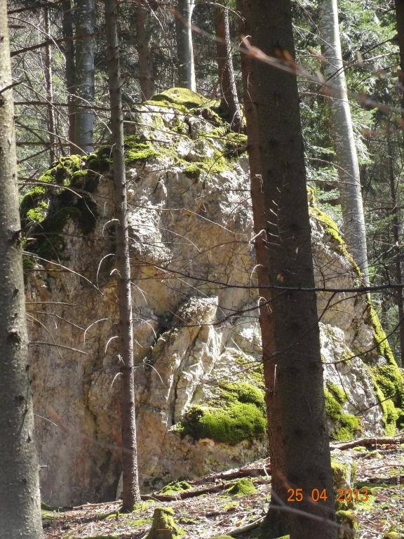 Philosophische Bildwanderung Traufgang-Felsenmeersteig