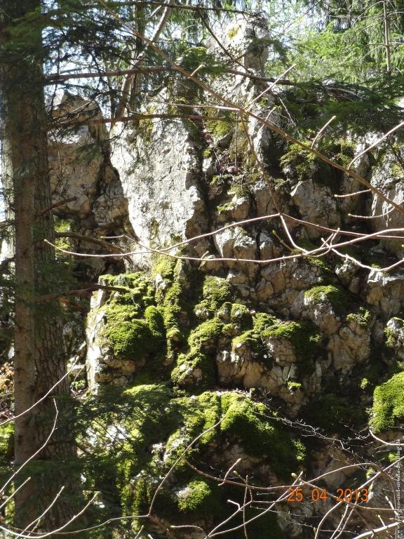 Philosophische Bildwanderung Traufgang-Felsenmeersteig