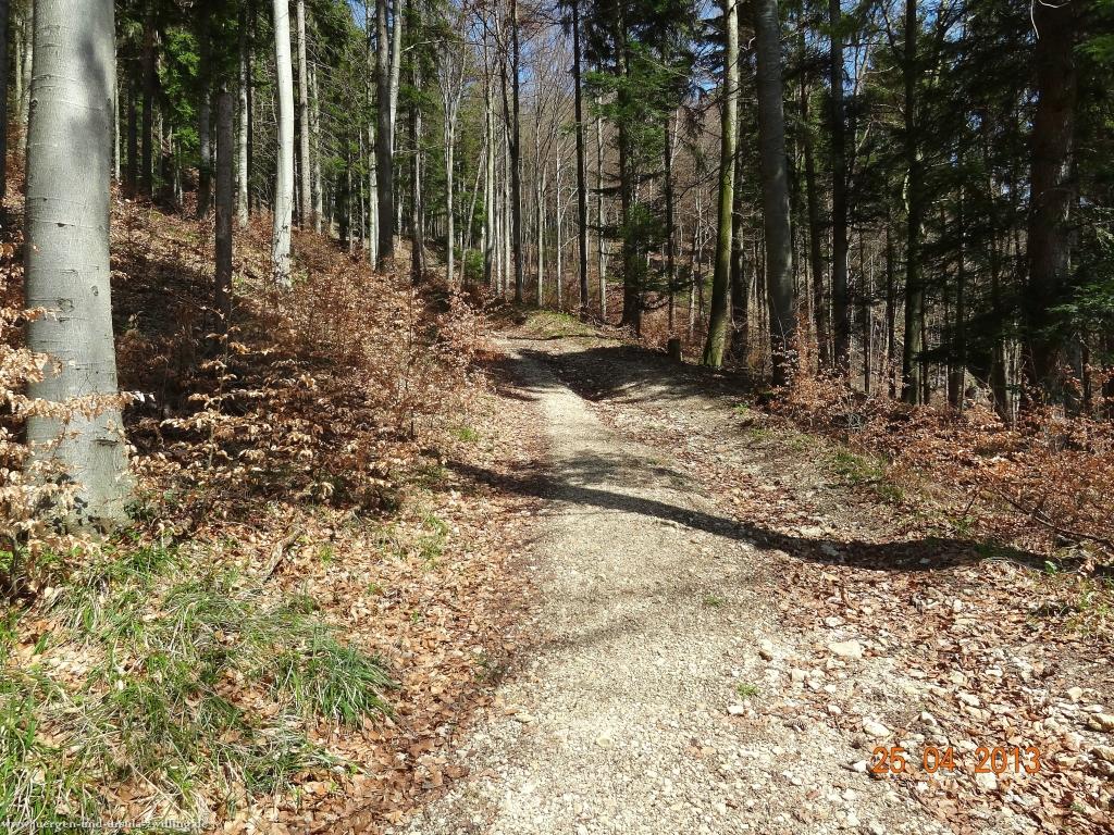 Philosophische Bildwanderung Traufgang-Felsenmeersteig