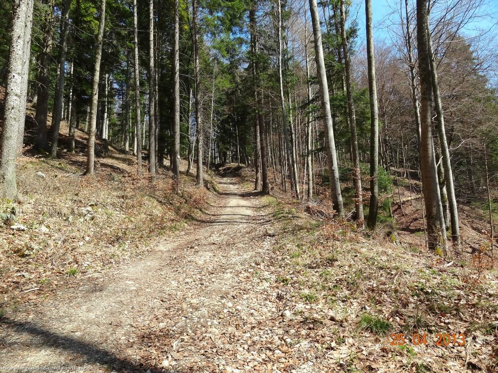 Philosophische Bildwanderung Traufgang-Felsenmeersteig