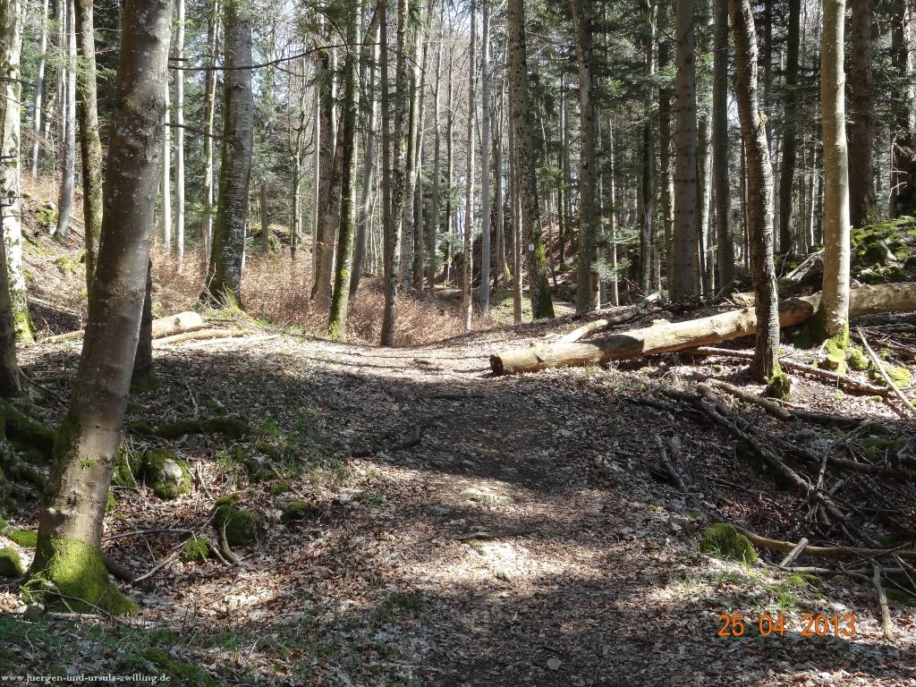 Philosophische Bildwanderung Traufgang-Felsenmeersteig