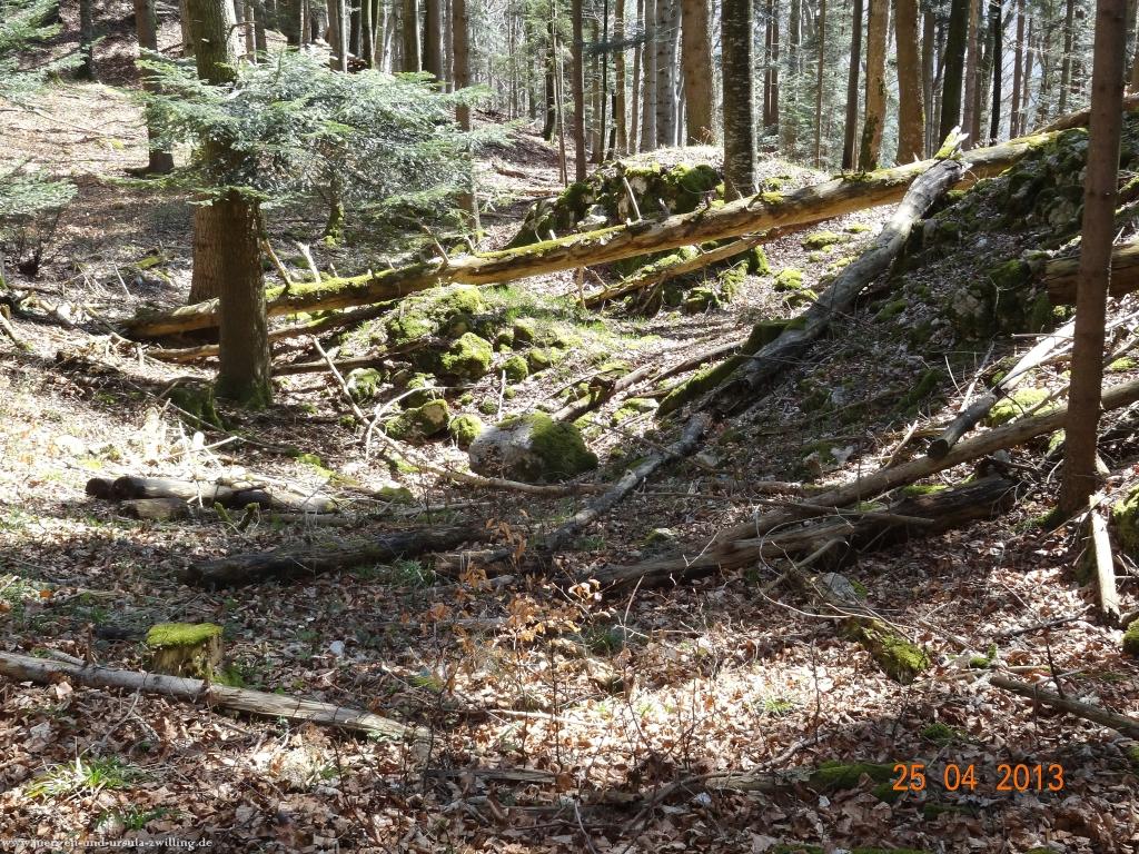 Philosophische Bildwanderung Traufgang-Felsenmeersteig