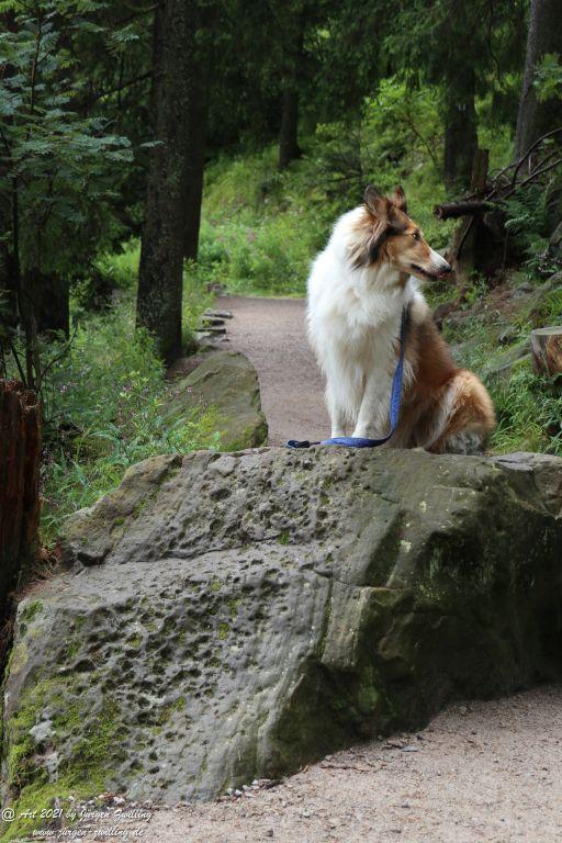 Mummelsee - Schwarzwald