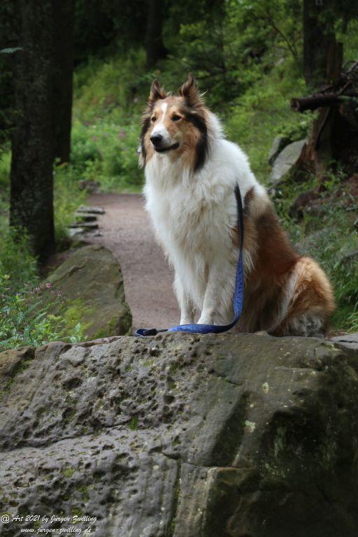 Mummelsee - Schwarzwald