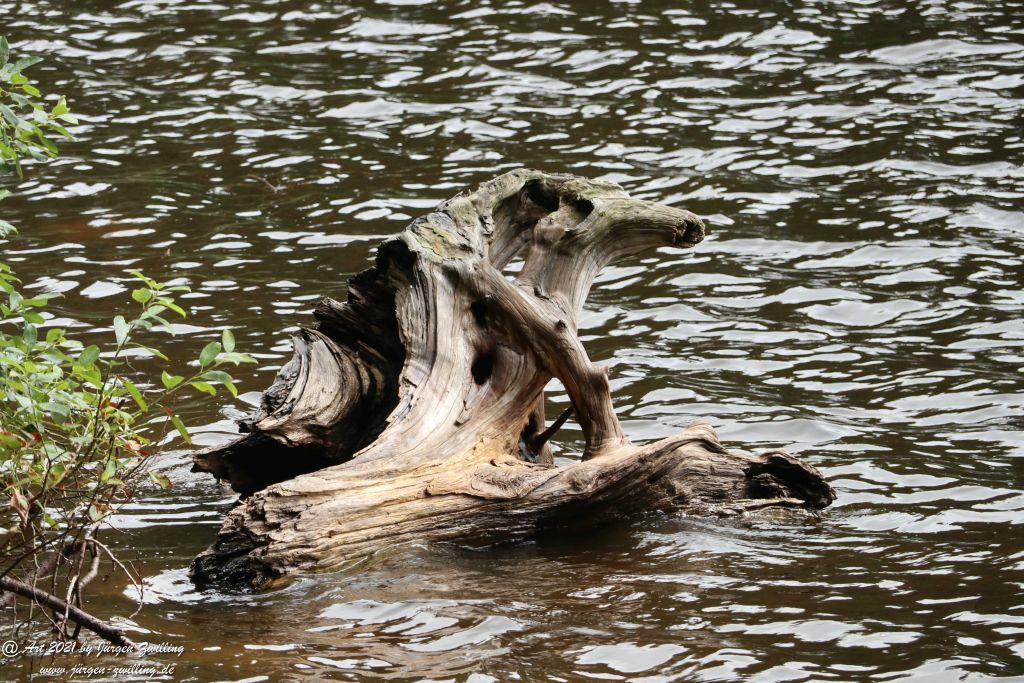 Mummelsee - Schwarzwald
