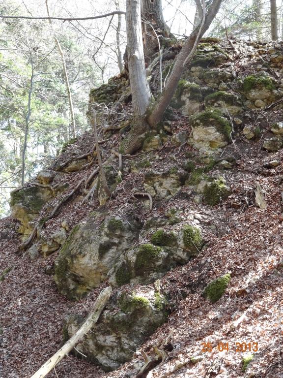 Philosophische Bildwanderung Traufgang-Felsenmeersteig