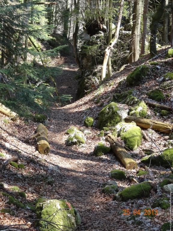 Philosophische Bildwanderung Traufgang-Felsenmeersteig